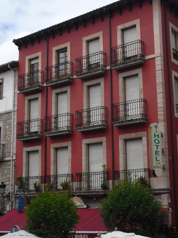 Hotel Los Robles Onís Extérieur photo